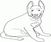 Coloriage dessin chien berger allemand