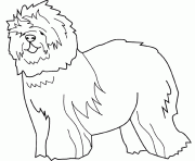 Coloriage dessin chien berger