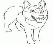 Coloriage dessin chien alaskan malamute