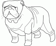 Coloriage dessin chien bulldog