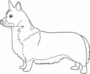 Coloriage dessin chien corgi gallois