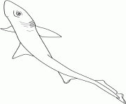 Coloriage aigrefin chien mer