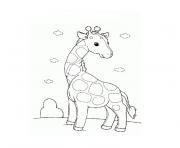 Coloriage girafe pet shop