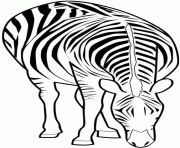 Coloriage zebre qui mange