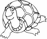 Coloriage tortue de face