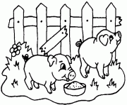 Coloriage 2 cochons dans un enclos