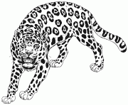 Coloriage dessin d un guepard