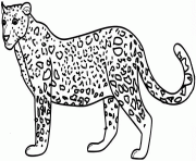 Coloriage jolie guepard