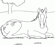 Coloriage cheval assis dans l herbe