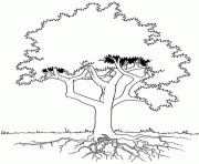Coloriage arbre avec racines