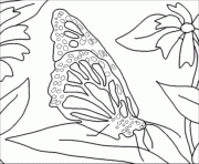 Coloriage papillon feuille