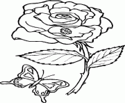 Coloriage rose et papillon