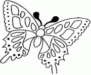 Coloriage papillon 2