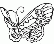 Coloriage papillon 1