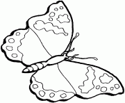 Coloriage papillon 6