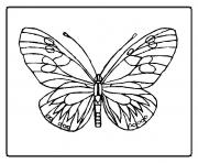 Coloriage papillon 6