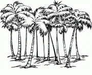 Coloriage palmier difficile adulte