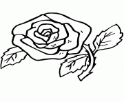 Coloriage fleur rose
