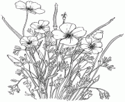 Coloriage Fleurs à Imprimer Dessin Sur Coloriageinfo