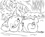 Coloriage pua pet pig de vaiana moana disney