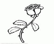 Coloriage roses 37