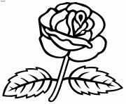 Coloriage Rose à Imprimer Dessin Sur Coloriageinfo