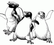 Coloriage trois pingouin