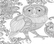 Coloriage hibou magnifique adulte difficile