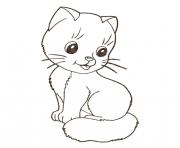 Coloriage dessin chat kitten