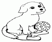 Coloriage chien top model avec un os et un ballon