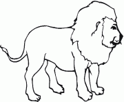 Coloriage Barbary Lion