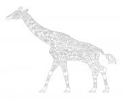 Coloriage giraffe adulte animal zentangle