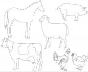 Coloriage animaux de la ferme vache cheval mouton cochon poule coq