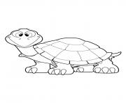 Coloriage Tortue 20