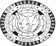 Coloriage adulte mandala elegant chat kitten