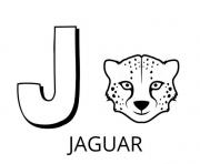 Coloriage lettre j comme jaguar