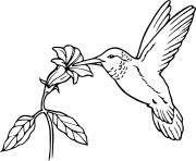 Coloriage oiseau en vol nourriture fleur