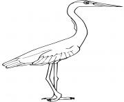 Coloriage grand heron bleu