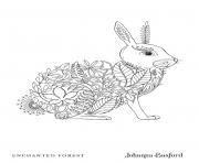 Coloriage Adulte Rabbit From Enchanted Forest