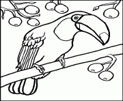 Coloriage dessin toucan