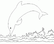 Coloriage saut d un dauphin