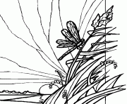 Coloriage libellule posee sur de la vegetation
