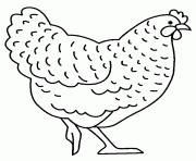 Coloriage poule pour enfants