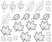 Coloriage dessin automne feuilles
