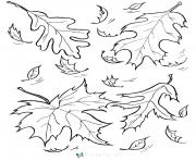 Coloriage automne feuilles fall