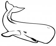 Coloriage baleine realiste franche australe