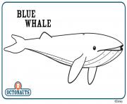 Coloriage blue whale