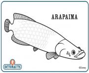 Coloriage arapaima octonaute creature