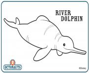 Coloriage river dolphin octonaute creature
