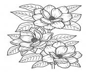 Coloriage fleurs realistes lavandes